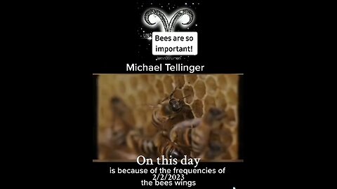 BEES and FREQUENCIES - WHY BEES ARE SO IMPORTANT