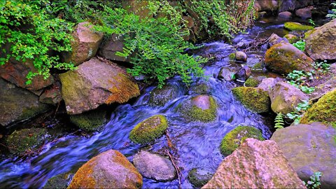 Forest stream with cascades. Sounds of water. Sounds of nature.