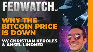 Why the Bitcoin Price is Down - Fed Watch #59 - Bitcoin Magazine