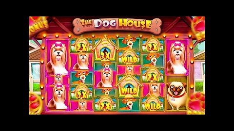 DOG HOUSE MEGAWAYS BONUS BUY PAYS HUGE! (INSANE PROFIT)