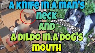 A knife in a mans neck and a dildo in a dogs mouth