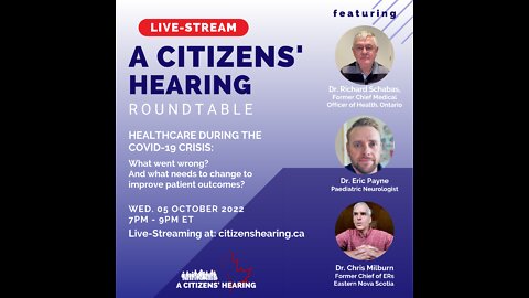 Citizens' Hearing - Healthcare During the Covid Crisis