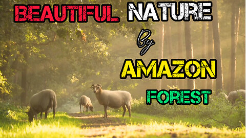 Beautiful nature by Amazon forest | Viral video