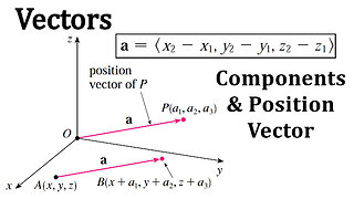 Vectors: Components and the Position Vector