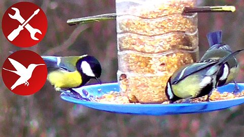 Plastic Bottle Bird Feeder DIY - Step by Step