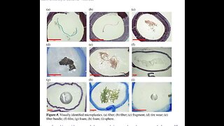 MICROPLASTICS ARE EVERYWHERE, EVEN MOST REMOTE PLACES ON EARTH & YOUR FOOD, AIR & WATER