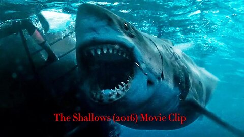 Shark Attacks Nancy - Jellyfish Swim Scene - The Shallows (2016) Movie Clip HD