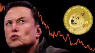 Tesla Stock CRASHING Dogecoin UP NEXT? ⚠️