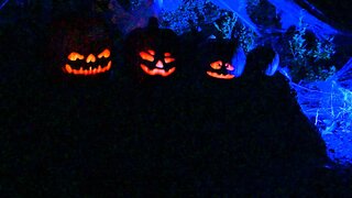 Jack O Lantern Jamboree projection Halloween 2014