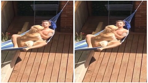 Sneaky pup shamelessly steals cucumber from owner's eye