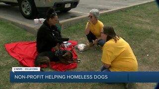 Tulsa nonprofit works to help homeless and their dogs