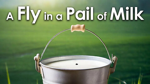 A Fly in a Pail of Milk