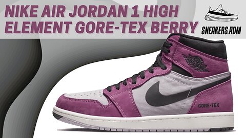 Nike Air Jordan 1 High Element Gore-Tex Berry - DB2889-500 - @SneakersADM