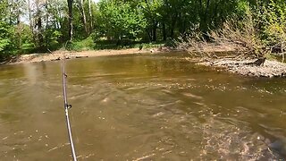 Fish Battles In The Stream