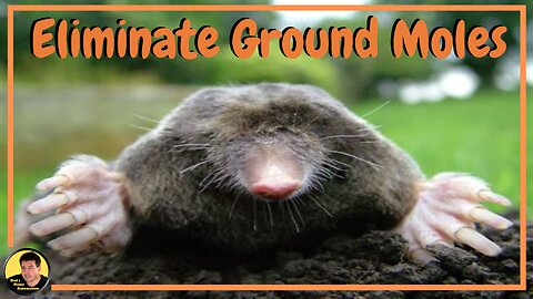 How to Easily Eliminate Moles - Works for Several Years