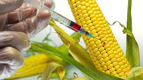 GMO: Seeds of Destruction