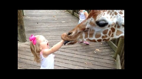 FORGET CATS! Funny KIDS vs ZOO ANIMALS are WAY FUNNIER! - TRY NOT TO LAUGH in home