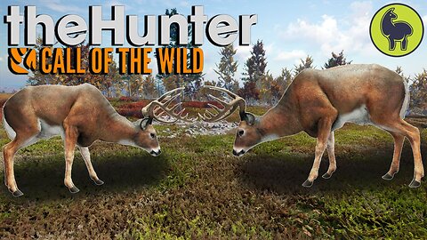 Rutting Season, Hunt Club Beta | theHunter: Call of the Wild (PS5 4K 60FPS)