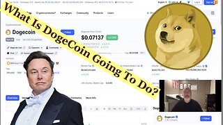 Will the new CEO at twitter push DogeCoin like Elon Musk did or not?