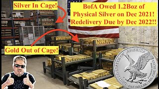SILVER ALERT! BofA Prepares for Final 393M oz Silver Lease RETURN by December 31, 2022! (Bix Weir)