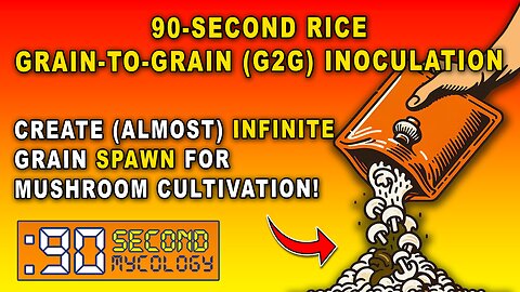 90-Second Rice GRAIN-TO-GRAIN (G2G) Inoculation