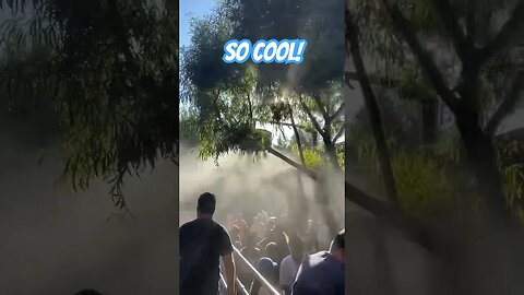 Mist fans in the Radiator Springs Racers queue #californiaadventure #carsland