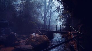 Dark painted and wonderful forest view with a small mytic bridge code