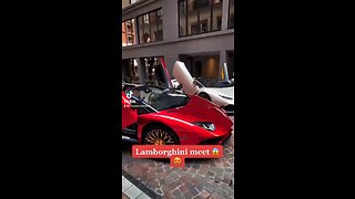 Lamborghini meet 😍