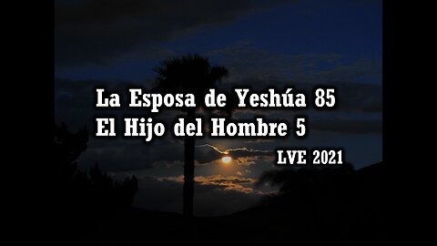 La Esposa de Yeshúa 85 - El Hijo del hombre 5