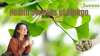 Health Benefits of Gingko Biloba - The Living Fossil