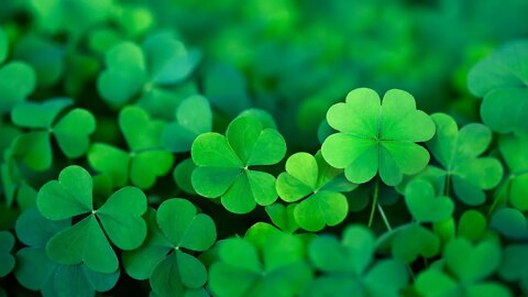 Happy Irish Music – Saint Patrick's Day ☘️