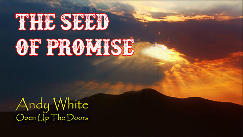 Andy White: The Seed Of Promise