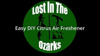 DIY Citrus Air Freshener