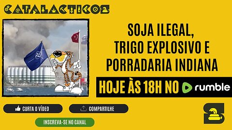 #118 Soja Ilegal, Trigo Explosivo E Porradaria Indiana