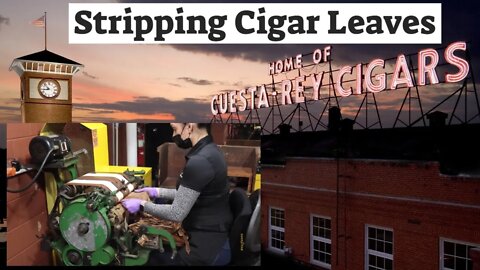 Stripping Cigar Leaves at the J.C. Newman Factory 2021 | Cigar Prop