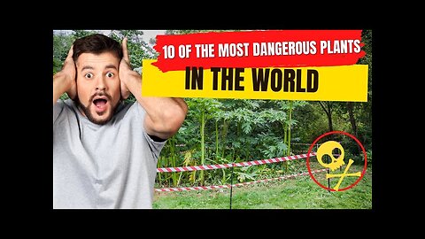 Ten of the most dangerous plants in the world.