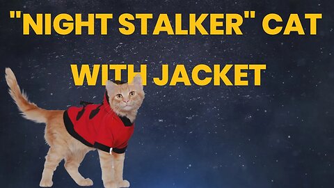 CAUGHT ON MY RING CAMERA THE NIGHT STALKER CAT WITH JACKET