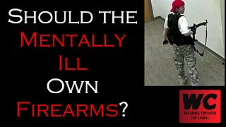 Should the Mentally Ill Own Firearms?