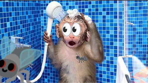 Monkey Baby Bon Bon oes to the toilet and plays with Ducklings in the swimming pool