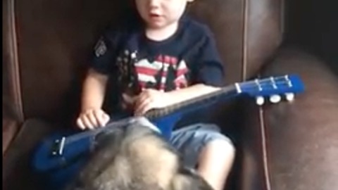 Toddler serenades ABC's and shows off guitar skills to his Dog