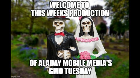 Shall We do GMO Tuesday???