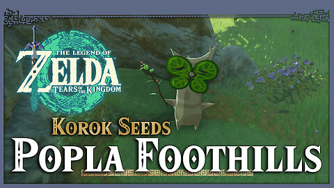 Popla Foothills Korok Seeds • Zelda Tears of the Kingdom TOTK