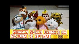 FIZEMOS A LIMPA NOS URSINHOS DA MÁQUINA DE PELÚCIAS 👏🐻👏🐻