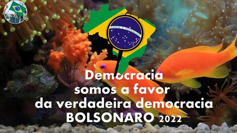#aovivo Paz aos conservadores e aos defensores da Verdadeira Democracia 13/08/2022 BOLSONARO 2022