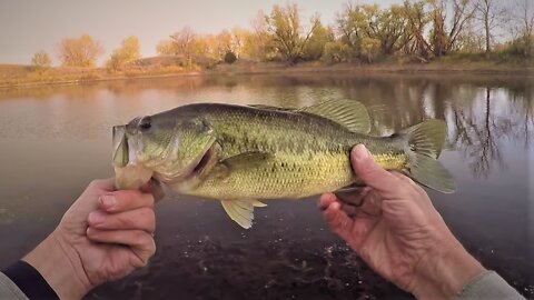 Engaging Bass Fishing - From the Bank - Lovely Day - Part 1