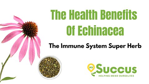 The Health Benefits of Echinacea