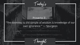 Today's Thought: Proverbs 3 "The doorstep to the temple of wisdom"| Daily Scripture and Prayer