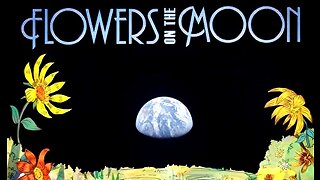 FLOWERS ON THE MOON - Faking Apollo