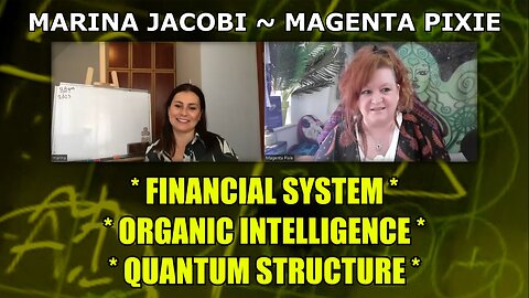 Financial System - Organic Intelligence - Quantum Structure with Marina Jacobi and Magenta Pixie