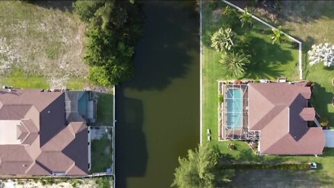 Cape Coral City Council provided update on blue-green algae bloom in freshwater canal system